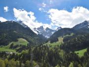 From the train window on the Golden Pass line